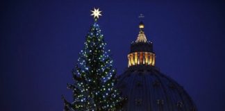 albero-natale-piazza-san-pietro