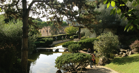 Visite guidate gratuite al giardino giapponese dell'Istituto giapponese di cultura a Roma