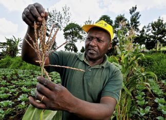 L’Institut Francais di Roma e l’Africa oltre il Mediterraneo decreto flussi 2017