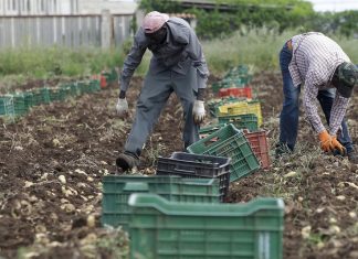 Rapporto 2015 sull Economia dell’immigrazione- Stranieri in Italia, attori dello sviluppo