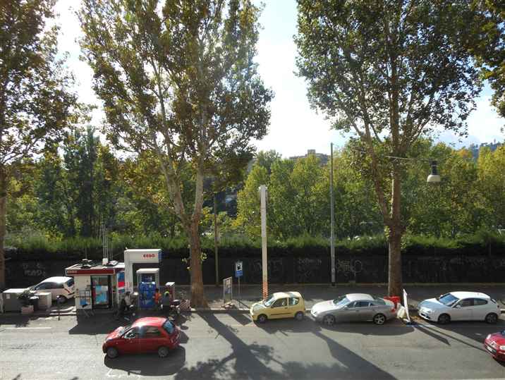 Il Lungotevere Flaminio e l'incontro inaspettato con un campione migrante dal Marrocco.