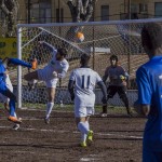 #FINALLYHOME – Liberi Nantes gioca in casa