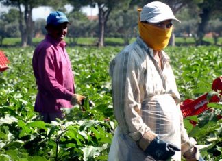7° Rapporto sull’economia dell’immigrazione: Ecco perché gli stranieri non rubano il lavoro Lavoratori stranieri(foto www.lavorofisso.com)