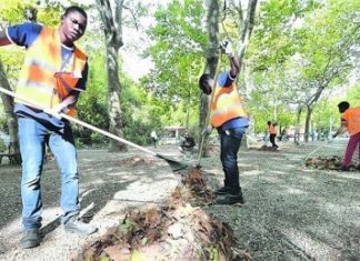 neo occupati stranieri in Italia. nota semestrale sul mercato del lavoro per primo semestre 2015