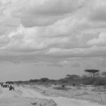 GL086312 – Version 2