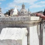 20663247_10213722857175011_388306967_o