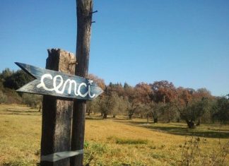 Ius Soli e pedagogia dell’ascolto. Franco Lorenzoni: “così si crea inclusione”