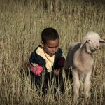 cinema_my_name_is_adil3