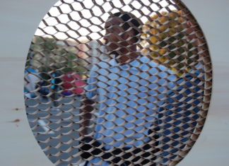 New City Map: il progetto che racconta la Roma dei migranti