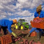 Lavoratori migranti (www.eunews.it)