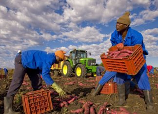 Leone Moressa: Gli stranieri la speranza in un’Italia che invecchia Lavoratori migranti (www.eunews.it)