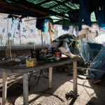 Sgombero Baobab – Piazzale Maslax