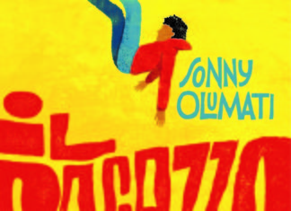 il ragazzo leone copertina