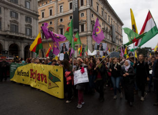 manifestazione nazionale a Roma del 1 novembre 2019