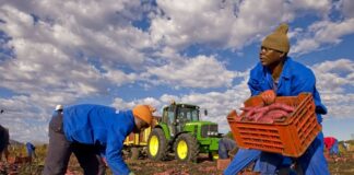 Regolarizzazioni la realtà del lavoro agricolo