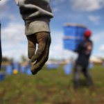 Caporalato e agromafie. Presentato il V Rapporto della Flai-Cgil. Fonte agricultura.itRapporto Flai-Cgil. Fonte agricultura