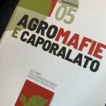 Rapporto agromafie e caporalato