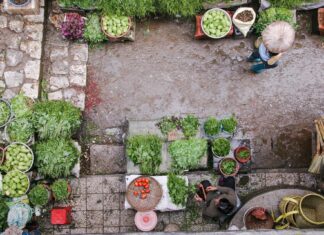 Prepararsi al Natale con una spesa etica e biologica mercato di verdure
