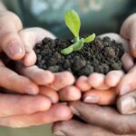 ASeS – Agricoltori Solidarietà e Sviluppo