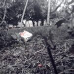 9e8c222a-1228-491b-81b1-e60571296f87