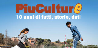 Piuculture 10 anni di fatti storie dati