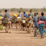 Migranti. Foto da google