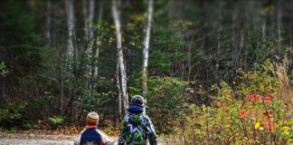 nascosti in piena vista