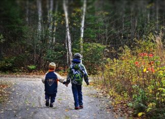 nascosti in piena vista