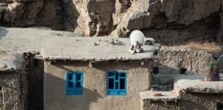 immagine dei talebani