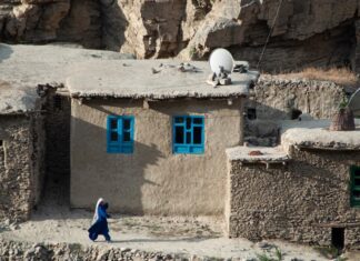 immagine dei talebani