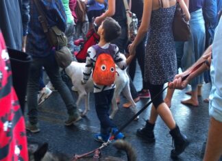 la presenza dei migranti