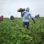 tim-mossholder-xDwEa2kaeJA-unsplash (1)