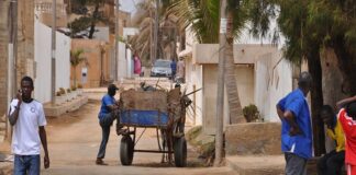 investo in senegal