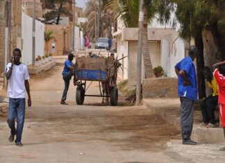 Investo in Senegal: gli imprenditori vincenti della diaspora investo in senegal