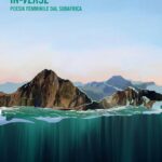 In verse. Poesia femminile dal Sudafrica