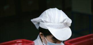 lavoratori stranieri