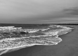 Osservatorio mensile: sbarchi e arrivi dall’Ucraina ad ottobre