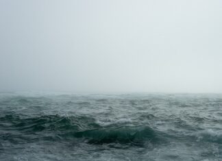 Che cos’è l’operazione Sophia citata da Meloni sul blocco navale