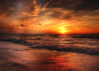 Osservatorio mensile: sbarchi in Italia a novembre