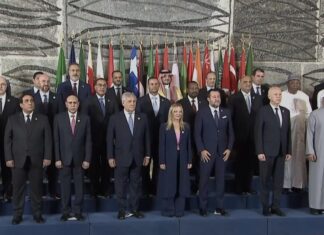 confernza internazionale sviluppo e immigrazione