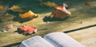 La Bibbia ebraica e cristiana, l'importanza della Scrittura