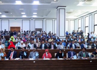 Accordo Etiopia Somaliland: quali conseguenze nel Corno d’Africa Parlamento Federale della Somalia