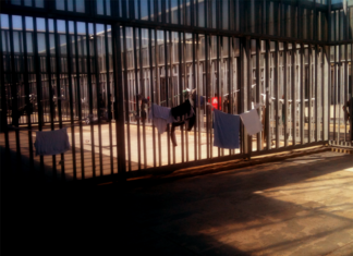 L’Azione Popolare e i CPR: intervista a Mauro Palma