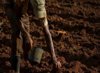 Non più invisibili. Il mondo sarà interculturale Migrante al lavoro. Fonte Openpolis
