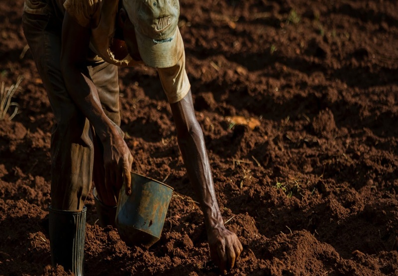 Migrante al lavoro. Fonte Openpolis