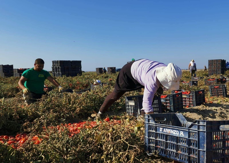 Lavoratori immigrati nel Fucino. Fonte Flai-Cgil