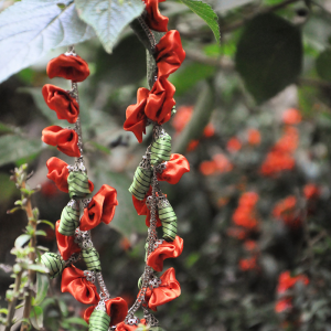Creazioni di Fimo a cura di Galina Doncenco lavoratrici migranti a Roma Galina Doncenco. Foto di Marco Grandelis